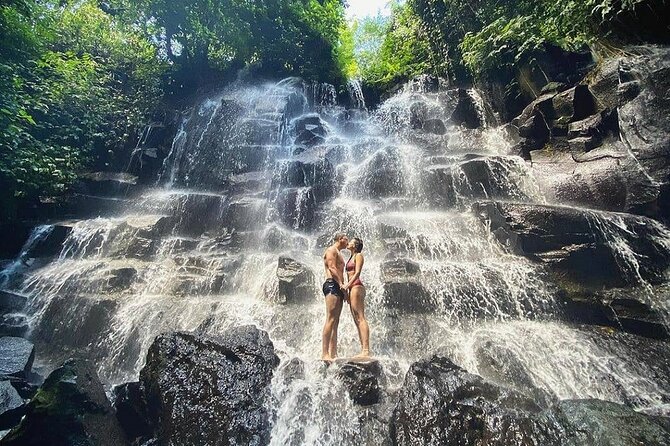 Bali Half Day Trip : All-Inclusive and Private Guided Tour - Sacred Monkey Forest: one hour among 700 macaques