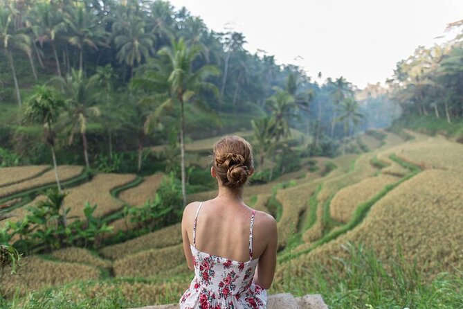 Bali Half Day Trip : All-Inclusive and Private Guided Tour - What the private car adds to a $49 price