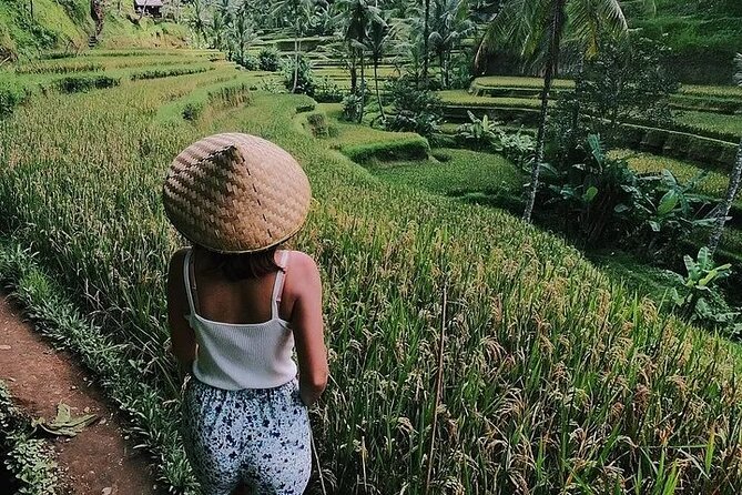 Bali Half Day Trip : All-Inclusive and Private Guided Tour - Tegalalang Rice Terrace: an hour of hillside agriculture