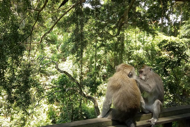 Bali Holy Bathing Ritual and Ubud Highlights tour - Tirta Empul: the spiritual center of the day