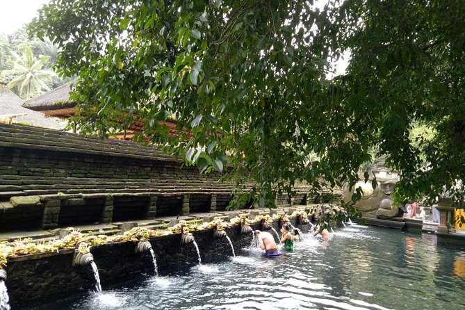 Bali Holy Bathing Ritual and Ubud Highlights tour - Tegalalang Rice Terrace and the famous valley views