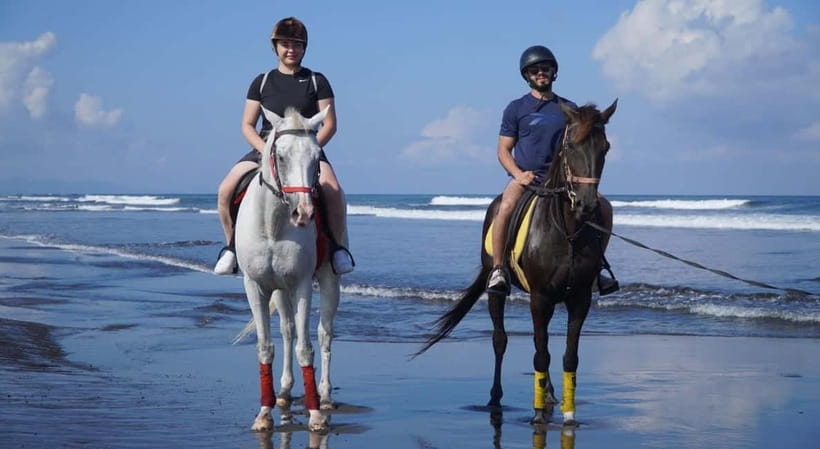 Bali: Horse Riding on the beach experience with free shuttle - Key points to know before booking