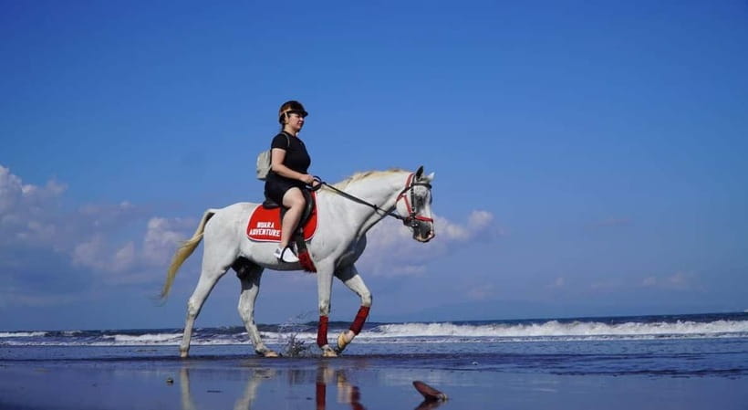 Bali: Horse Riding on the beach experience with free shuttle - Getting to the Sanur riding location