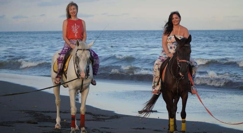 Bali: Horse Riding on the beach experience with free shuttle - Feeding the horses and seeing the stables