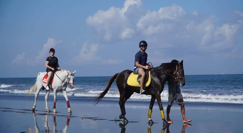 Bali: Horse Riding on the beach experience with free shuttle - How much riding do you really get?