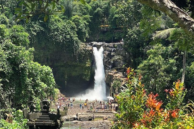 Bali Iconic Tour with Buffet Lunch and Attraction Tickets - Ubud Monkey Forest is close-up and lively