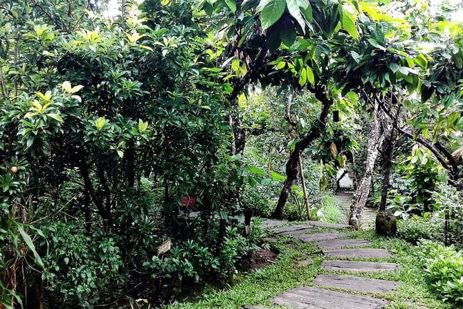 Bali in 1-Day : Rice Terrace, Volcano, Tanah lot - All Inclusive - One day, many sides of Bali