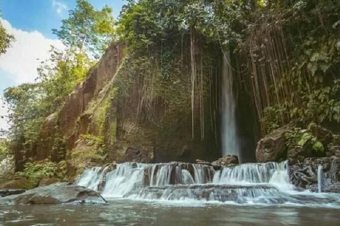 Bali Inclusive Tour: Best Waterfalls Around Ubud Area - What the $41 price really covers