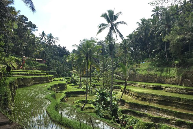 Bali Individual Route With Private English Speaking Driver - Start with a route, not a checklist