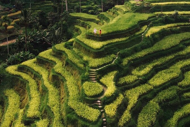 Bali Instagram Tour - All Inclusive - What the private vehicle changes