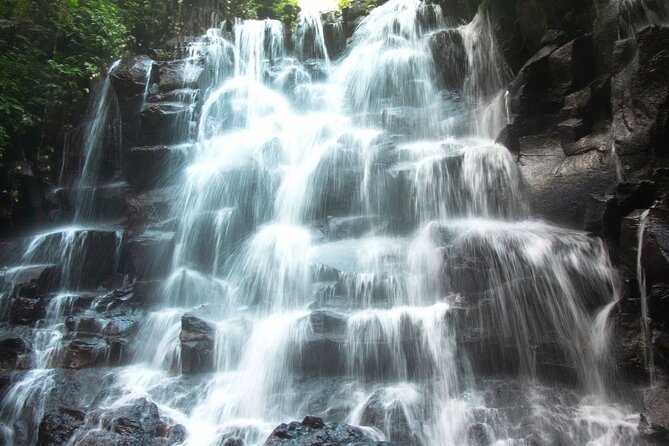 Bali Instagram Tour- Most Scenic Spots in Bali - Tunas Bali Luwak Coffee and the plantation stop