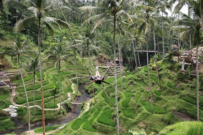 Bali Jungle Swing & Ubud Tour - The guide can shape the whole day