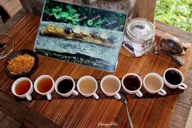 Bali Jungle Swing & Ubud Tour - Who should book this Ubud tour?