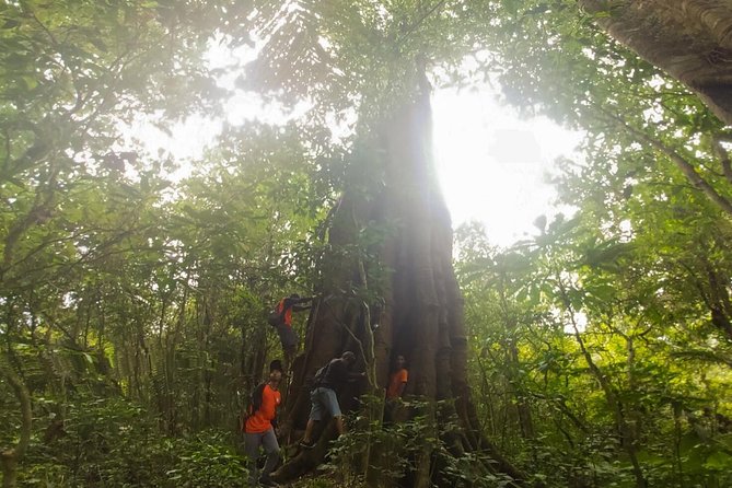 Bali Jungle Trekking and Lake Canoeing Tour - Extra stops from southern and central Bali