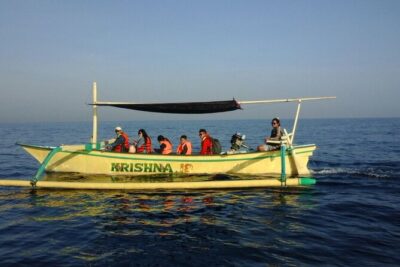 Bali Lovina Dolphin and North Bali Sightseeing – All Inclusive