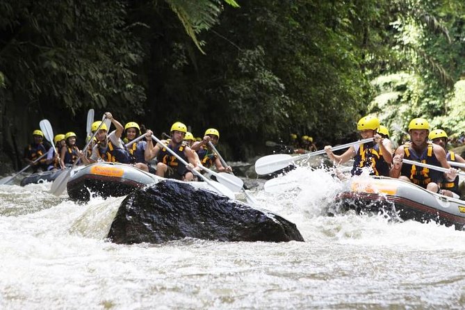 Bali Mason Adventure White Water Rafting - Is $75 a fair price?