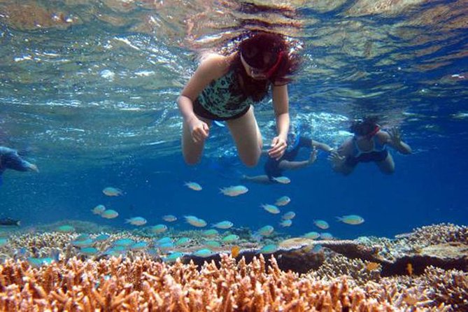 Bali Menjangan Island Snorkeling Day Tour - The 5:30 am departure from Ubud or Kuta