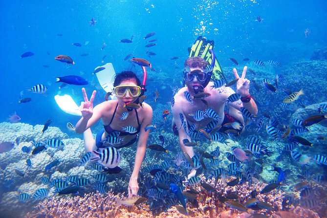 Bali Menjangan Island Snorkeling Day Tour - Arriving at Menjangan Island