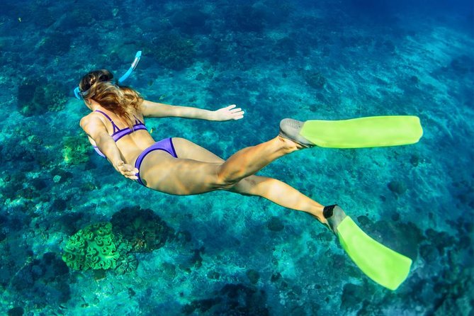 Bali Menjangan Island Snorkeling Day Tour - A simple lunch and an unhurried beach break