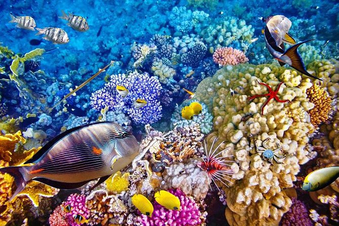 Bali Menjangan Island Snorkeling Day Tour - The road to northwest Bali