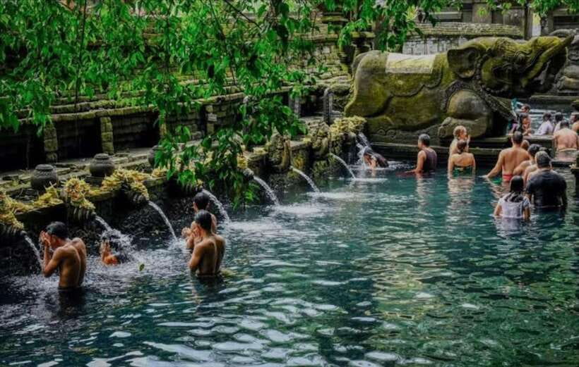 Bali: monkey forest, rice terrace, water temple, waterfall - What the $25 price really means