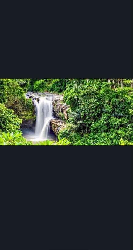 Bali: monkey forest, rice terrace, water temple, waterfall - Taking part in Tirta Empul’s purification ritual