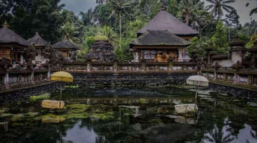 Bali: monkey forest, rice terrace, water temple, waterfall - What the private guide adds