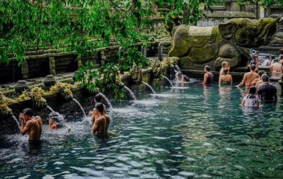 Bali: monkey forest, rice terrace, water temple, waterfall - Pickup areas, transport, and timing