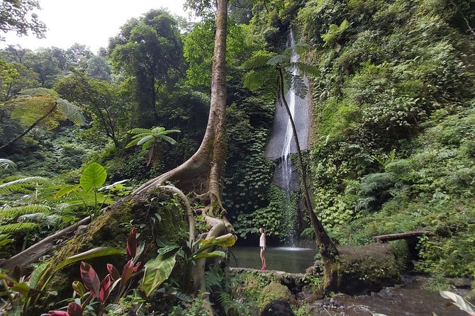 Bali Most Scenic Waterfalls Trekking - Handara Gate, Wanagiri Hills, and the twin lakes