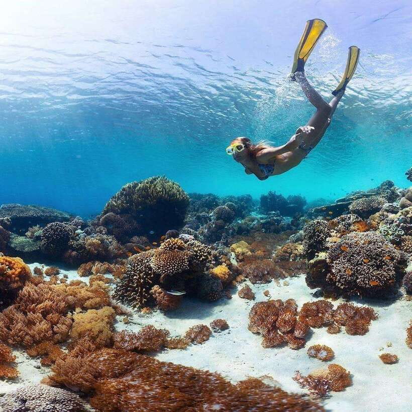 Bali: Nusa Penida Manta Snorkeling Tour & Beach Club Access - Why this Nusa Penida tour works well