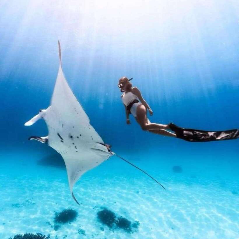 Bali: Nusa Penida Manta Snorkeling Tour & Beach Club Access - Manta Point: the reason to book