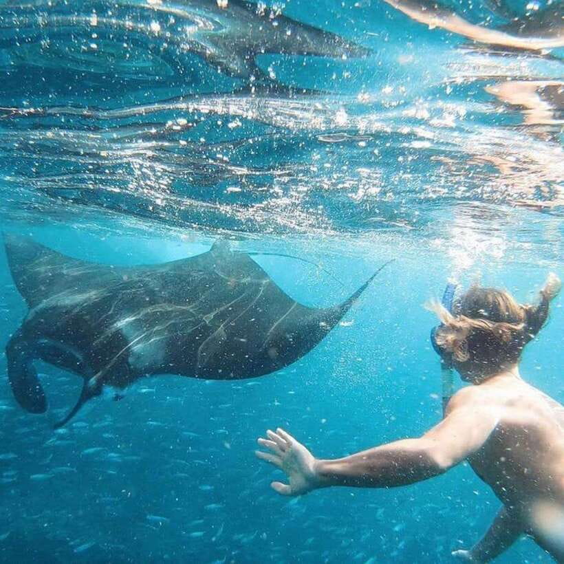 Bali: Nusa Penida Manta Snorkeling Tour & Beach Club Access - Gamat Bay for a second look underwater