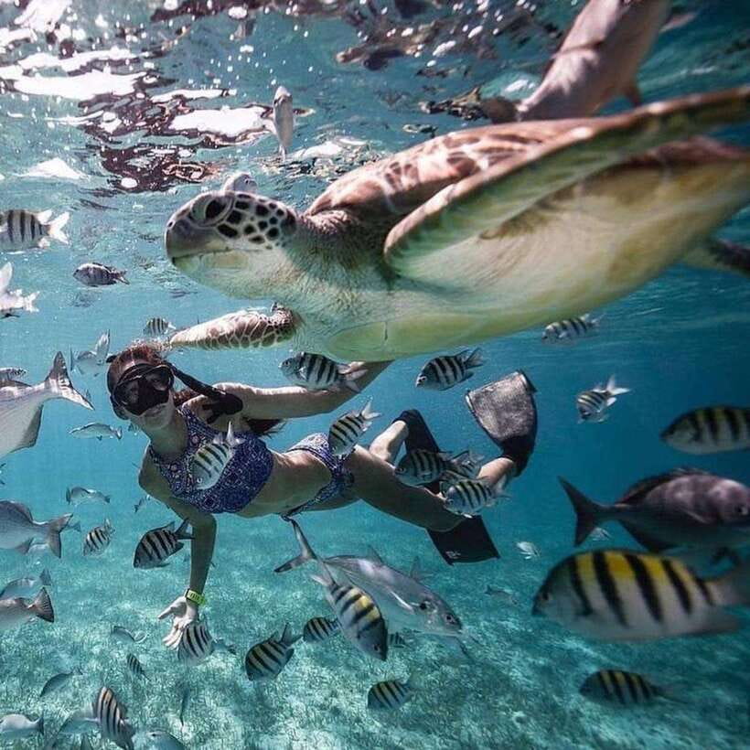 Bali: Nusa Penida Manta Snorkeling Tour & Beach Club Access - Getting from Bali to the water