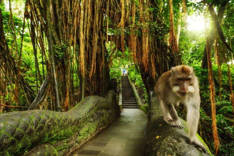 Bali: Private Car Charter with English's speaking driver - How to use the 10-hour itinerary