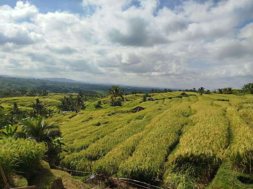 Bali: Private Car Charter with English's speaking driver - What the English-speaking driver adds