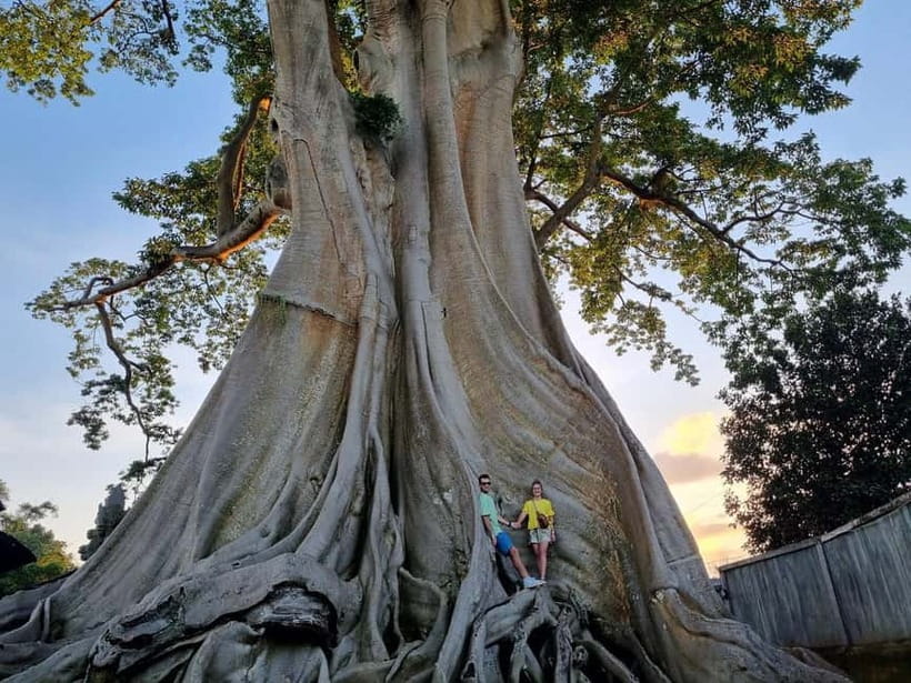 Bali: Private Customizable Tour with Driver - How much value you get for $33 per person