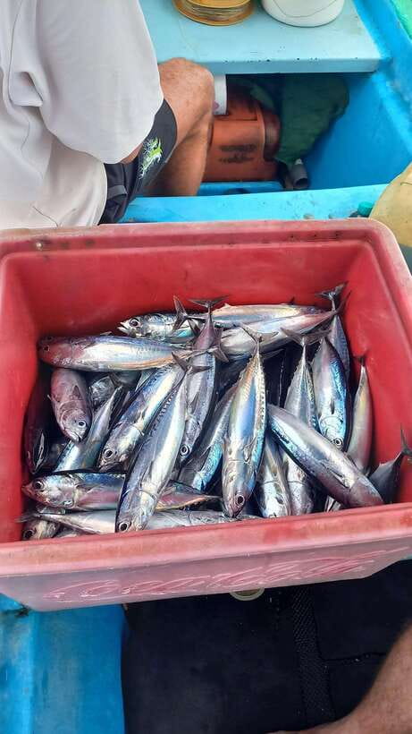 Bali: Private Fishing Trip with Lunch - Setting out on an outrigger boat