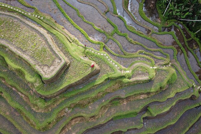 Bali Private Photographer & Drone - Why early morning makes such a difference