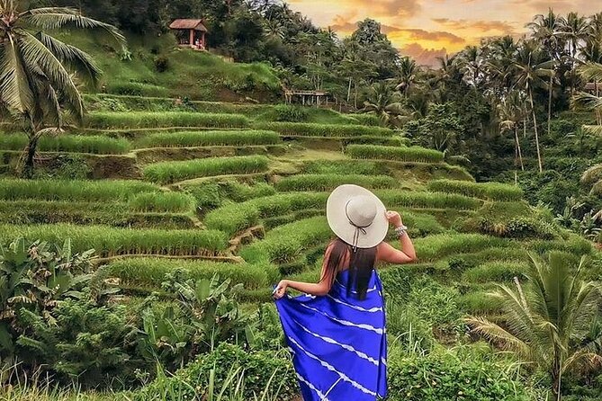 Bali Private Tour - Best of Ubud - All Inclusive - Batik, silver, and painting workshops