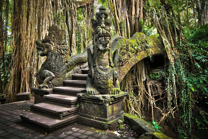 Bali Private Tour - Best of Ubud - All Inclusive - What the private vehicle adds