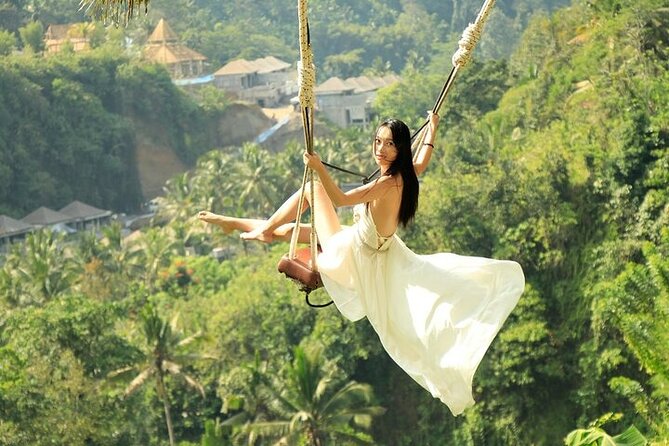 Bali Private Tour - Best of Ubud - All Inclusive - Cruise port pickup and the timing question