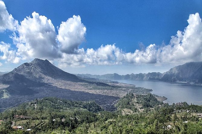 Bali Private Tour : Best Of Ubud & Volcano View With Jungle Swing - Tegalalang Rice Terrace: views, steps, and photo stops
