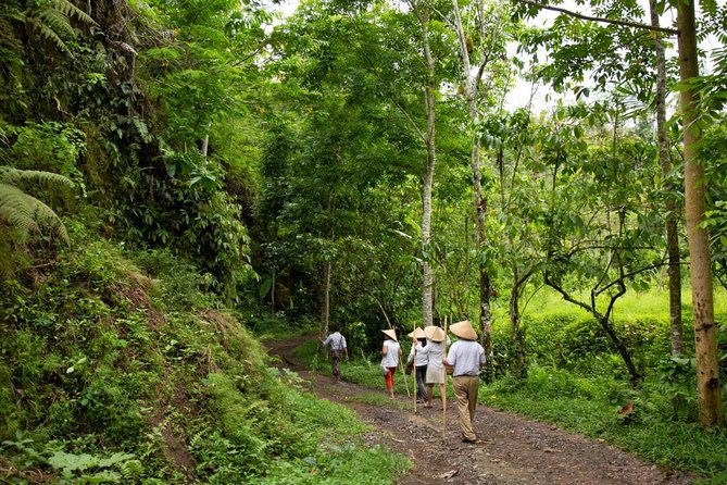 Bali Pure trek with spiritual journey, purification ceremony, local priest -Ubud - Key points to know before booking