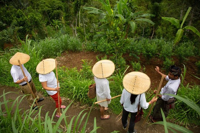 Bali Pure trek with spiritual journey, purification ceremony, local priest -Ubud - Taking part in the Melukat ceremony