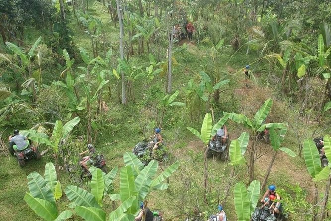 Bali Quad bike ATV passing through Waterfall, Cave & Rice fields - Cancellation and weather details