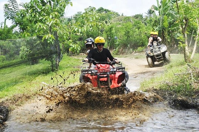 Bali Quad Bike Through Gorilla Cave - Monkey Forest and Waterfall - Macaques and temples at Sacred Monkey Forest