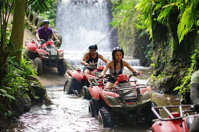 Bali Quad Bike Through Gorilla Cave - Monkey Forest and Waterfall - Two hours on Ubud’s ATV tracks