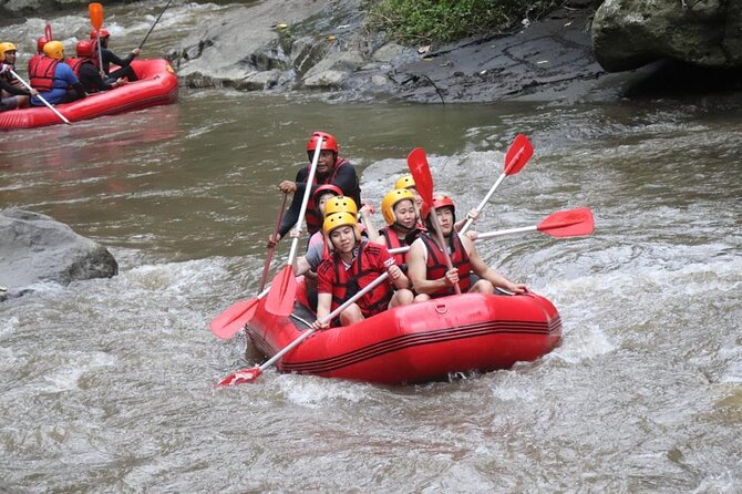 Bali Rafting - Waterfalls, carved rocks, and a chance to swim