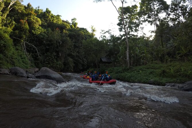 Bali Rafting - Guides, safety, and the small-group feel