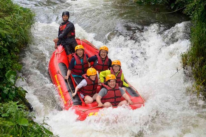 Bali Rafting Adventure + East Bali Tour - Tirta Gangga, the royal water palace